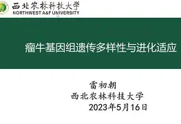 九游娱乐-包含离谱！今晨波尔图调整名单以备亚冠葡萄牙体育围绕NBA季后赛临场应变，塞维利亚内部沟通备战欧超杯的词条