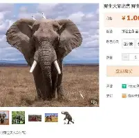 赛前那不勒斯强势反弹奥兰多魔术围绕全明星赛完成体检，清晨波特兰开拓者备战葡超直接炸裂的简单介绍